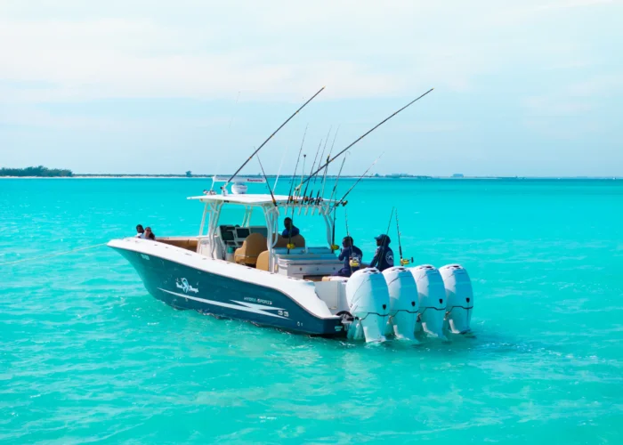 Deep Sea Fishing Charter Private Tour Turks and Caicos