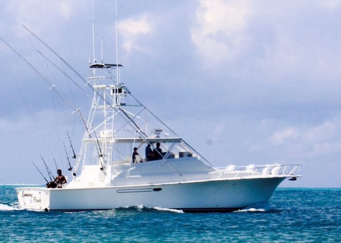 Deep Sea Fishing Charter Private Tour Turks and Caicos
