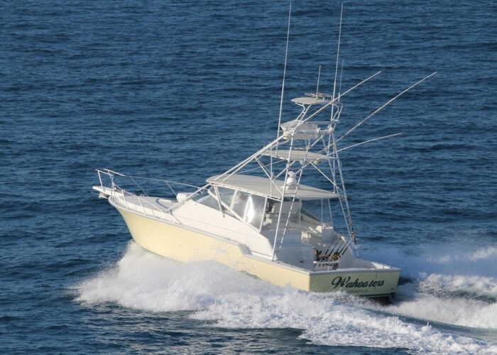 Deep Sea Fishing Private Charter Wahooters