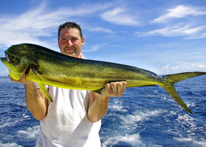 Deep Sea Fishing Charter Private Tour Turks and Caicos